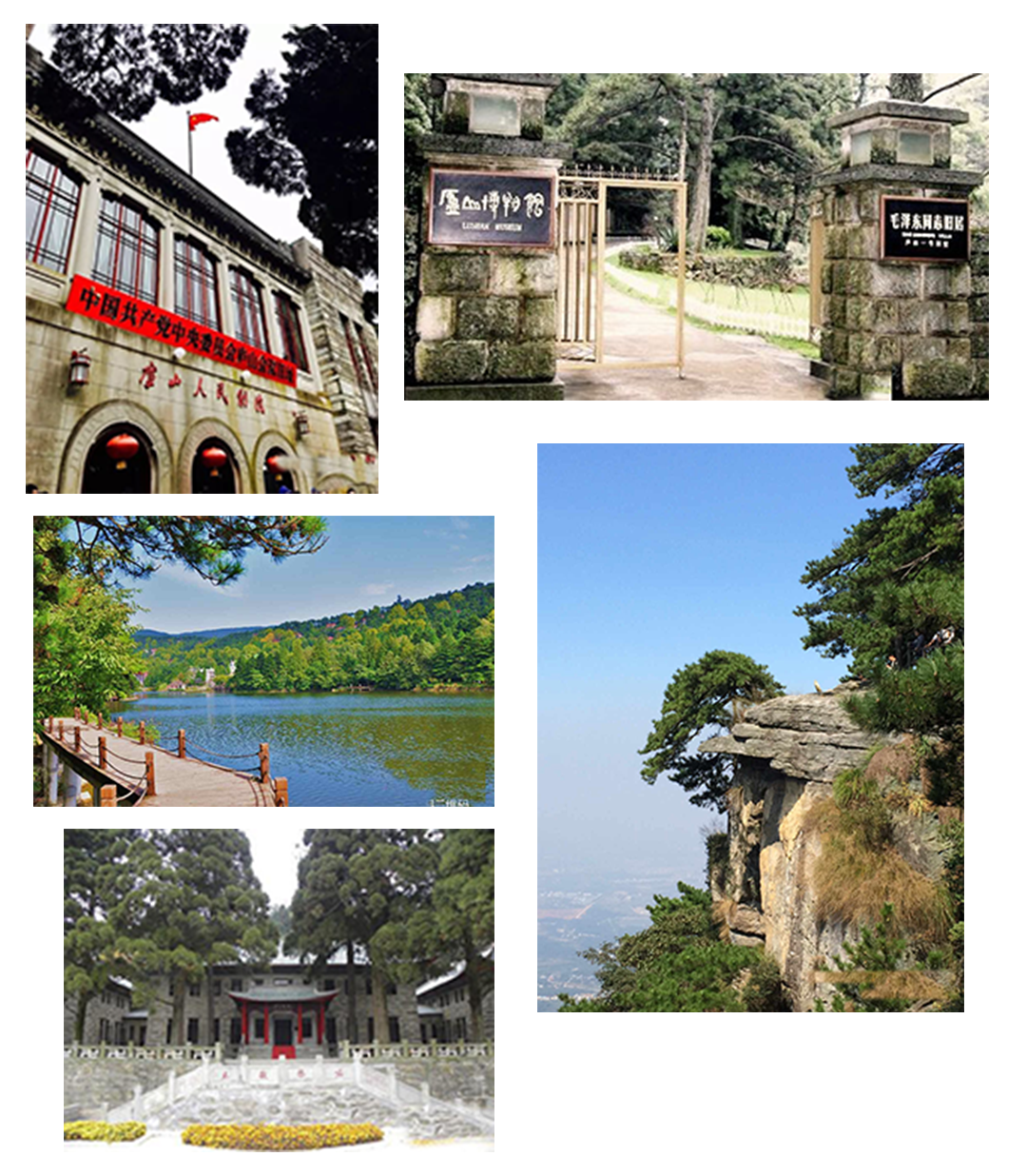 未标题-1(6).png