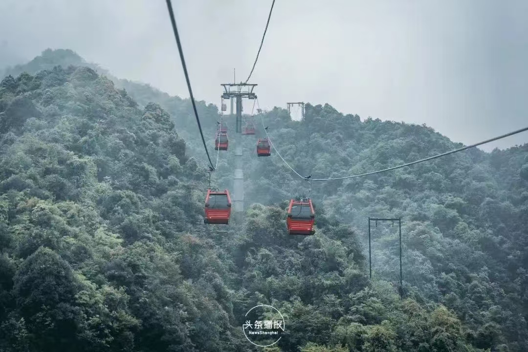 微信图片_202410291731201.jpg