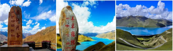 QQ20240807-140002.png